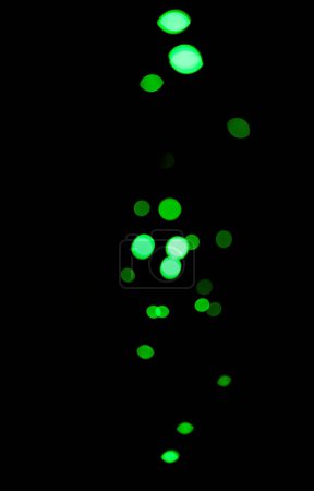 Foto de Bokeh, puntos verdes y luz sobre fondo negro con patrón, textura y maqueta con estética cósmica. Iluminación nocturna, partículas de brillo y brillo en el fondo de pantalla oscuro con espacio, brillo de color y destello - Imagen libre de derechos