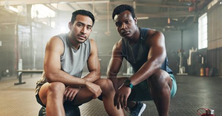 Photo for Serious man, friends and fitness in sports workout, exercise or bodybuilder training together at gym. Portrait of active and muscular people in teamwork, partnership or coaching at indoor health club. - Royalty Free Image