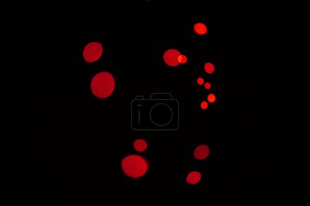 Téléchargez les photos : Bokeh, particules rouges et lumières sur fond noir avec motif, texture et maquette avec esthétique cosmique. Éclairage nocturne, points scintillants et lueur sur papier peint sombre avec espace, éclat de couleur et éclat - en image libre de droit
