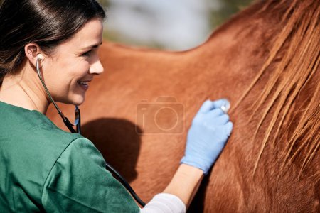 Photo for Vet, stethoscope and horse farm with wellness, healthcare and support with animal in countryside. Nurse, woman and helping with heart rate and monitoring outdoor with a smile and happy from nursing. - Royalty Free Image