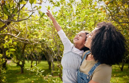 Photo for Love, park and mother with girl child in nature picking fruit, explore and having fun in nature. Family, learning and mom with kid in a forest for development, adventure and searching tree for lemon. - Royalty Free Image