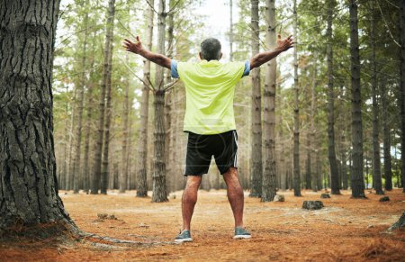 Photo for Back, forest and senior man with celebration, exercise and achievement with a challenge, progress and wellness. Fresh air, runner and athlete with success, nature and woods with health and training. - Royalty Free Image
