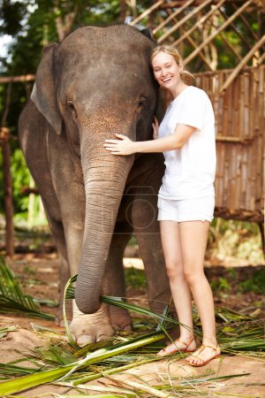 Photo for Portrait, travel and happy woman hug elephant in a jungle for adventure, freedom and experience. Nature, wildlife and female tourist in Thailand bonding with animal in a forest with freedom and fun. - Royalty Free Image