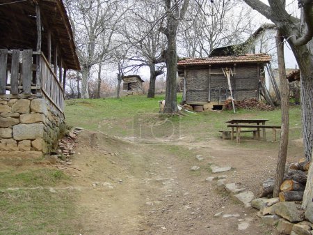 Téléchargez les photos : Ferme, forêt et cabane en bois sur un chemin au Kosovo en 1999 après un conflit pendant la guerre ou la bataille. Agriculture, durabilité et village avec une maison ou une grange dans les bois sur un paysage naturel. - en image libre de droit
