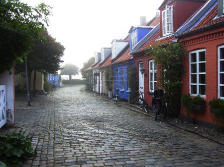 Photo for Cottage, cobblestone road and village, travel and neighborhood in Denmark with landscape or background. Traditional, town and tourism with street, property or houses, architecture and countryside. - Royalty Free Image