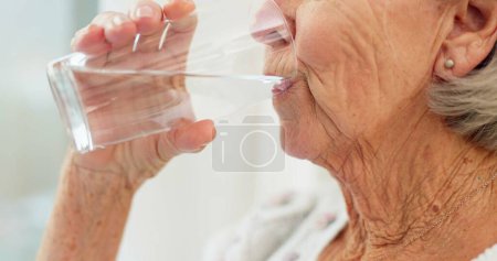 Foto de Sediento, primer plano y mujer mayor bebiendo agua para la hidratación y la desintoxicación de la dieta líquida en casa. Bienestar, salud y calma persona anciana disfrutando de un vaso de bebida fría en la casa de retiro moderna - Imagen libre de derechos