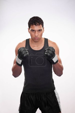 Photo for Portrait, getting ready and a man or boxer for a competition, fitness or training on a white background. Exercise, cardio and a strong male fighter with gloves for a sport, boxing or workout. - Royalty Free Image