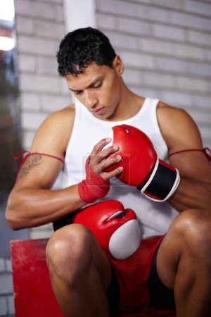 Photo for Gloves, getting ready and a man at a gym for boxing, martial arts training or cardio. Fitness, health and a boxer, fighter or athlete with equipment to start sports, exercise or a workout at a club. - Royalty Free Image