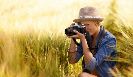 Photo for Woman, camera and photography in grass with travel, vacation and holiday with wheat field and plants. Nature, photographer and outdoor with blog and countryside with photo for adventure and journey. - Royalty Free Image