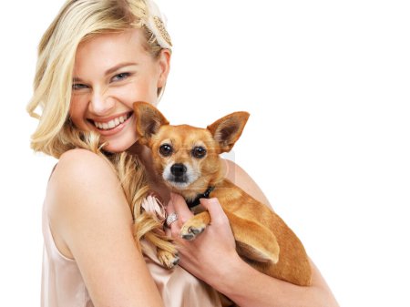 Photo for Portrait, elegant and a woman with her dog in studio isolated on white background for love or friendship. Smile, fashion and classy with a happy young model holding her pet puppy at a party or event. - Royalty Free Image