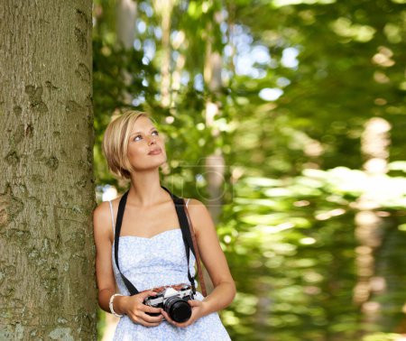 Téléchargez les photos : Pensée, arbres et photographie avec la femme en forêt pour se détendre, la mémoire et la photographie de voyage. Été, nature et aventure avec personne et appareil photo pour les vacances, vacances et tourisme environnemental. - en image libre de droit