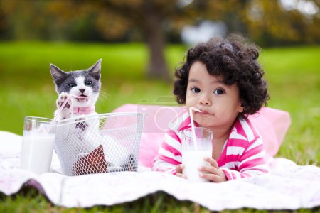 Téléchargez les photos : Portrait, lait et une fille dans le parc avec son chaton ensemble pour l'amour, les soins ou les liens pendant l'été. Pique-nique, chat ou enfants et un jeune enfant mignon dans le jardin s'amuser avec son animal de compagnie. - en image libre de droit