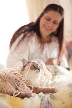Foto de Gato, jugando y mujer con lana en casa para tejer, actividad o divertido juego para mascotas. Feliz, persona y gatito con hilo, cuerda y juguete divertido en la sala de estar con el propietario riendo y sonriendo al gatito. - Imagen libre de derechos