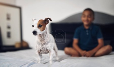 Foto de No se permiten niñas ni gatos. un adorable niño jugando con su perro mascota en la cama en casa - Imagen libre de derechos