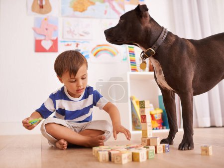 Foto de Es el compañero de juegos perfecto. Un niño jugando con bloques de construcción en su habitación mientras su perro está a su lado - Imagen libre de derechos