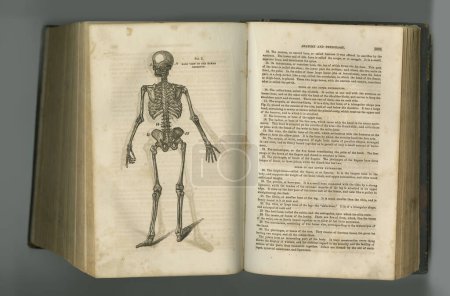 Foto de Revista médica rústica. Un libro de anatomía envejecido con sus páginas en exhibición - Imagen libre de derechos