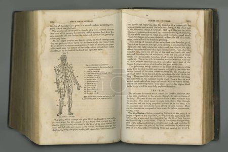 Foto de Diario médico. Un libro de anatomía envejecido con sus páginas en exhibición - Imagen libre de derechos
