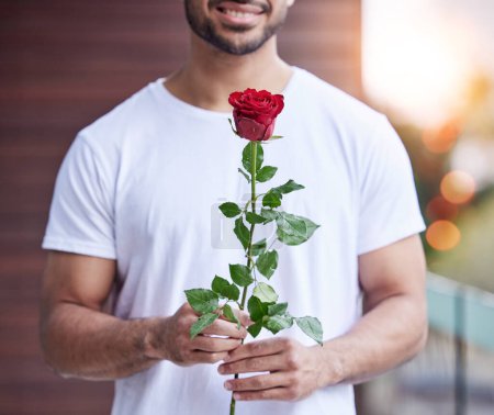 Photo for Love, hands and man with rose for date, romance and care for valentines day present, proposal or engagement. Romantic surprise, floral gift and person holding or giving flower outside with bokeh - Royalty Free Image
