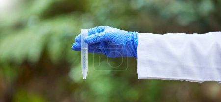 Photo for Environment, water and test tube with hands of scientist in nature for quality control, research and science. Sustainability, study and medical with closeup of person in forest for eco biotechnology. - Royalty Free Image