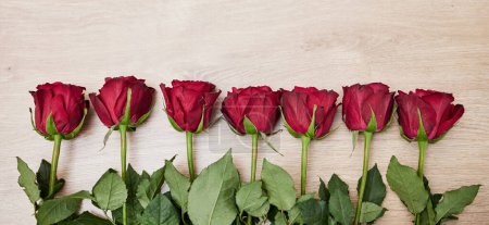 Téléchargez les photos : Arrière-plan, rangée de fleurs et de roses en couleur rouge pour la Saint-Valentin, événement anniversaire et célébration de l'amour. Gros plan, bannière et plantes florales sur la table en ligne avec maquette, espace et décoration. - en image libre de droit