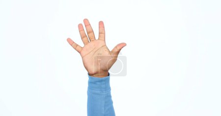 Photo for Hand, palm or closeup of high five in success, volunteer or help in charity organisation in studio mockup. Presentation, fingers and stop in sign language, emoji or warning signal on white background. - Royalty Free Image