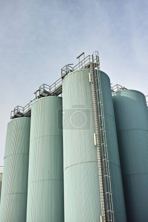 Photo for Silo storage tankers against a gray sky in Danish oil industry. large oil plant storage tanks for export in industrial area. Silo tankers for keeping bulk food products, substances and materials safe. - Royalty Free Image