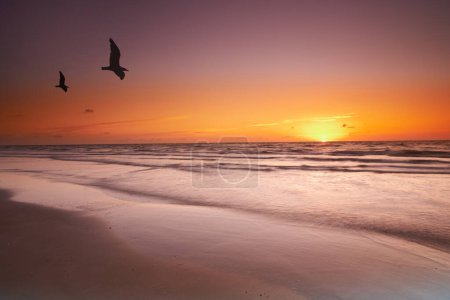 Téléchargez les photos : Paysage marin et paysage d'un coucher de soleil doré sur la côte ouest du Jutland à Loekken, Danemark. Beau paysage nuageux sur une plage vide au crépuscule. Oiseaux survolant l'océan en soirée avec copyspace. - en image libre de droit