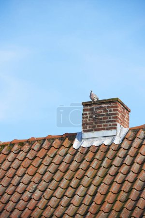 Photo for Bird sitting to nest on red brick chimney on slate roof of house building outside against blue sky background. Construction of exterior escape chute built on rooftop for fireplace smoke and heat. - Royalty Free Image