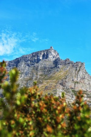 Téléchargez les photos : Paysage d'une montagne et plantes contre un ciel bleu avec espace de copie. Une destination de voyage populaire pour les touristes et les randonneurs à explorer. Vue relaxante sur la montagne de la Table à Cape Town, Western Cape. - en image libre de droit