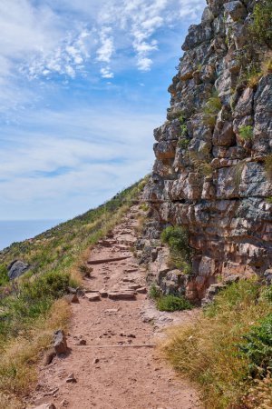 Téléchargez les photos : Un sentier pédestre sur la montagne au Cap, en Afrique du Sud. Sentier extérieur pour explorer dans une falaise paisible et à couper le souffle sur Lions Head. Nature tranquille en harmonie, végétation luxuriante par une matinée paisible et ensoleillée. - en image libre de droit