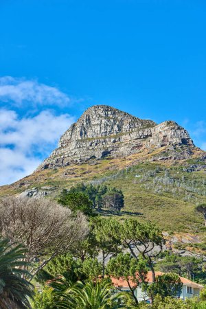 Photo for Beautiful landscape of Lions Head mountain and surrounding green trees and grass with bright blue sky. Stunning close up detail of mountain with copy space during summer in Cape Town, South Africa. - Royalty Free Image