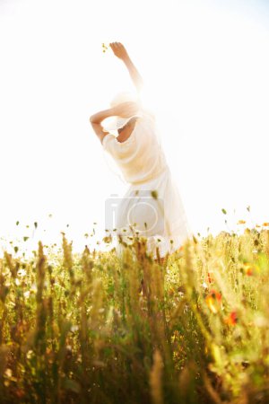 Photo for Freedom, back and woman at wheat field with flower in the countryside in summer, vacation or travel. Rear view, person in hat at farm or nature, garden or outdoor for stretching, lens flare or mockup. - Royalty Free Image