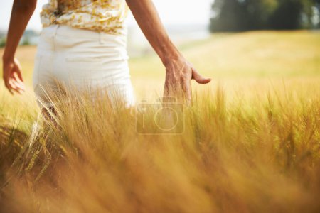 Photo for Closeup, walking or back of woman in a field for freedom in the countryside in spring to relax on break. Hands, wellness or person in garden or farm for fresh air on holiday vacation or nature travel. - Royalty Free Image