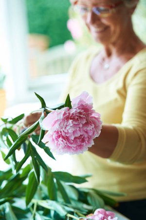 Photo for Elderly, woman and plant for flower in home, outside or backyard for gardening, alone or peace. Senior person, grandmother and glasses with care in wellness, nature or retirement for pruning of peony. - Royalty Free Image