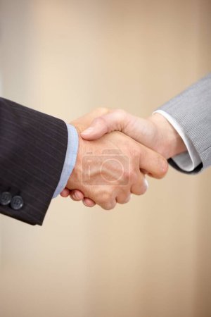 Photo for Business people, handshake and meeting in b2b, partnership or deal together in teamwork at office. Closeup of employees shaking hands in thank you for hiring, agreement or recruiting on mockup space. - Royalty Free Image
