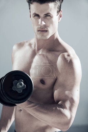Photo for Portrait, muscles and man with dumbbell weight in studio for bodybuilding workout, exercise or training. Sports, fitness and young male athlete from Canada with equipment isolated by gray background - Royalty Free Image