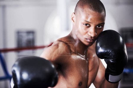 Photo for Boxing, gloves and punch, portrait of black man with fitness and power training challenge in gym. Strong body, muscle workout and boxer in club, fist of athlete with confidence, competition and fight. - Royalty Free Image