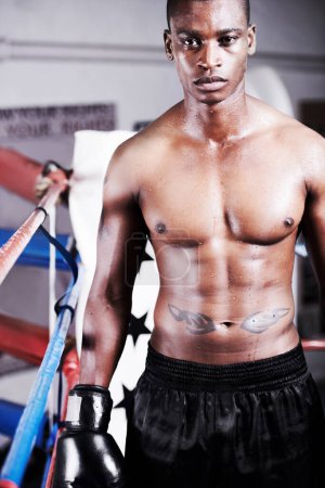 Téléchargez les photos : Boxe, puissance et portrait de l'homme noir dans l'anneau avec fitness, gants et défi d'entraînement au club de sport. Corps fort, visage d'athlète ou de boxeur au gymnase avec sueur et confiance dans la lutte de compétition - en image libre de droit