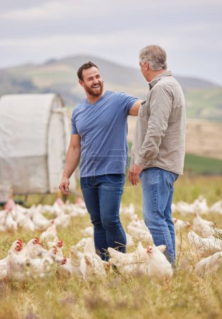 Téléchargez les photos : Weve a eu le meilleur du cluck sur notre ferme. Fusillade de deux hommes travaillant ensemble dans une ferme avicole - en image libre de droit