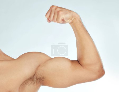 Photo for Fitness, bicep flex and closeup of man in studio for wellness, training or workout results on white background. Body, exercise and male model zoom with strong arm pose for strength or muscle growth. - Royalty Free Image