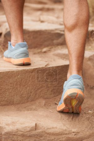 Photo for Closeup, legs and person hiking steps in nature for fitness, workout and exercise training for wellness, health or sports. Zoom, feet or hiker muscles walking or climbing stairs in environment cardio. - Royalty Free Image
