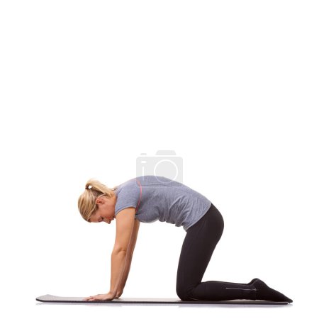 Photo for Woman, yoga or cat pose for fitness, workout or stretching body in studio on mockup white background. Profile, healthy lady or bend back for strong core, spine extension or flexible exercise on floor. - Royalty Free Image