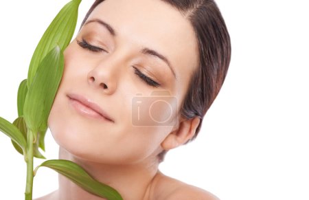 Photo for Leaf, skincare and woman in studio for makeup, wellness and eco friendly cosmetics on white background. Plant, beauty and face of female model with natural dermatology, treatment or skin detox shine. - Royalty Free Image