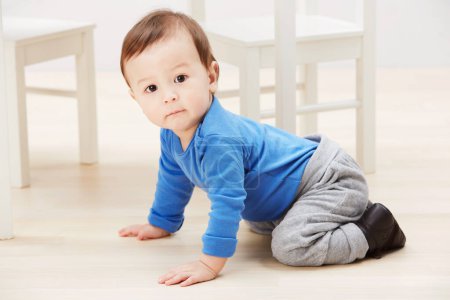 Photo for Cute, crawling and portrait of baby on floor for child development, learning and youth. Young, curious and adorable with infant kid on ground of family home for growth, progress and milestone. - Royalty Free Image