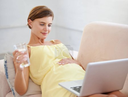 Photo for Relax, pregnant or woman with water on laptop in house living room for childcare website, information or wellness reading. Drink, healthy or person on home sofa technology, research or pregnancy blog. - Royalty Free Image