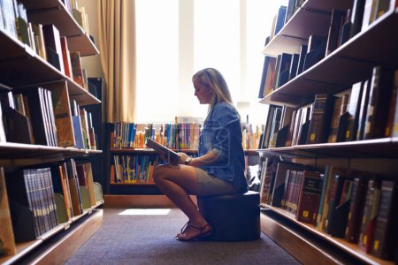 Photo for Reading book, girl or student in library at university, college or school campus for education growth. Bookshelf, learning or smart woman with scholarship studying knowledge, research or information. - Royalty Free Image