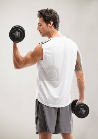 Photo for Fitness, back or athlete in dumbbell workout or training for wellness in studio on grey background. Strong man, model or bodybuilding exercise for power, body challenge or weights with bicep curls. - Royalty Free Image