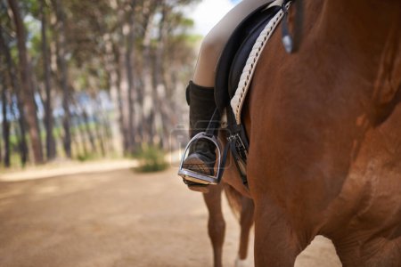 Person, horse and countryside for riding in texas, stirrup and sport training for performance. Farm, rural and nature in outdoor, adventure and animal livestock with jockey, pet care and dirt road.