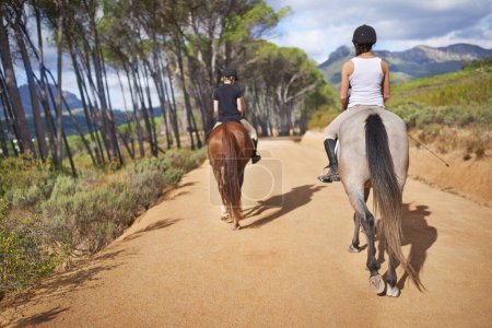 People, horse and hobby for horseback riding in texas, rider and sport training in countryside. Farm, rural and nature in outdoor, adventure and animal on gravel, pet care and riders with back.