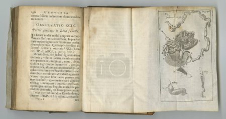 Photo for Anatomy, book and medical drawing on paper in antique, vintage or old science textbook with knowledge. Archive, illustration and diagram on parchment with notes, information and study of human body. - Royalty Free Image